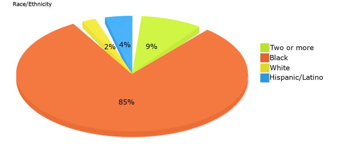 Demographics