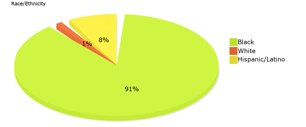 Demographics