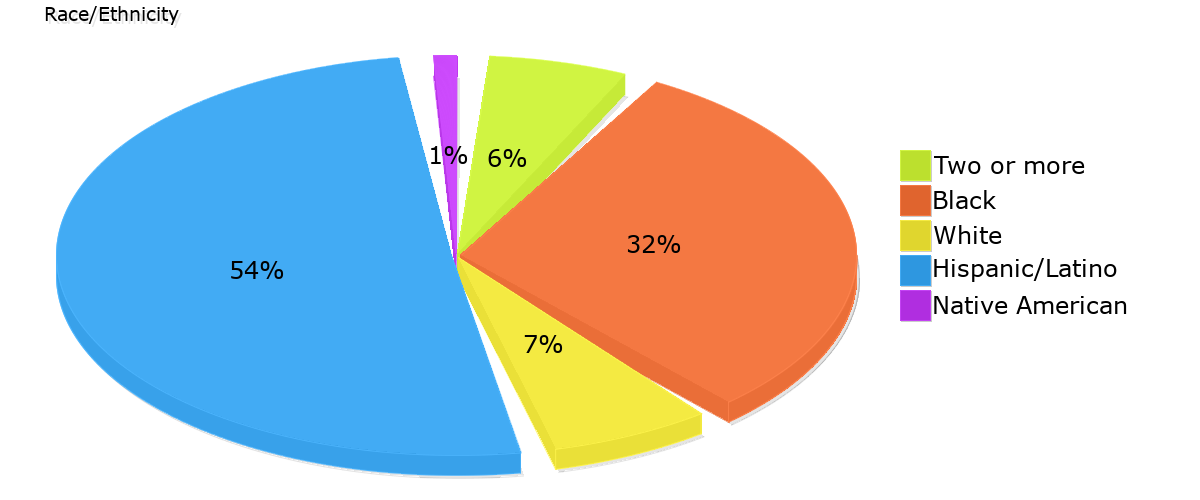 Demographics