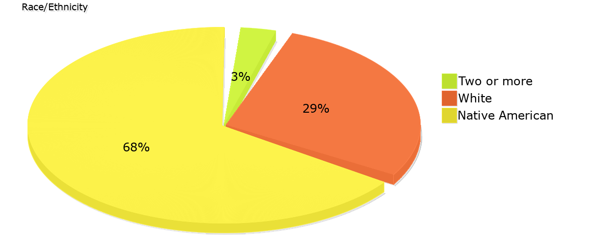 Demographics