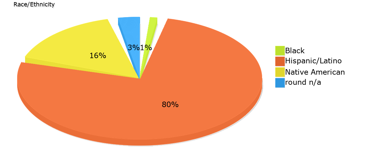 Demographics