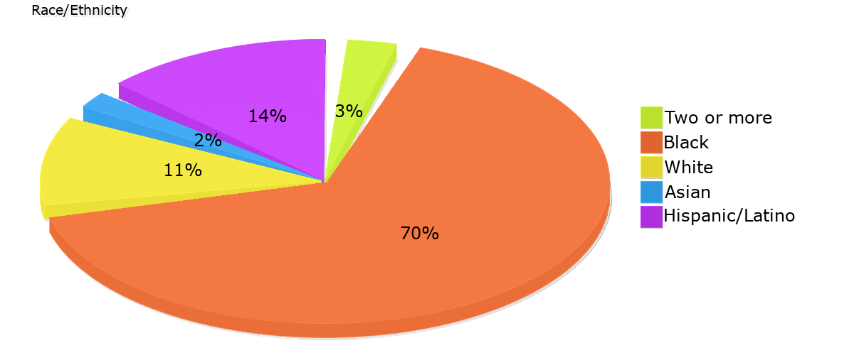 Demographics