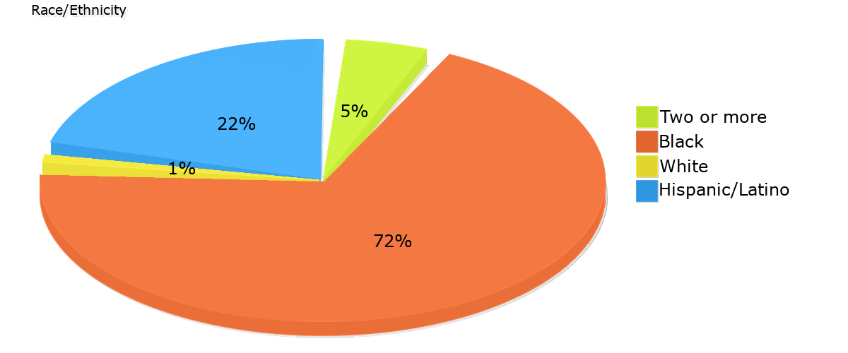 Demographics