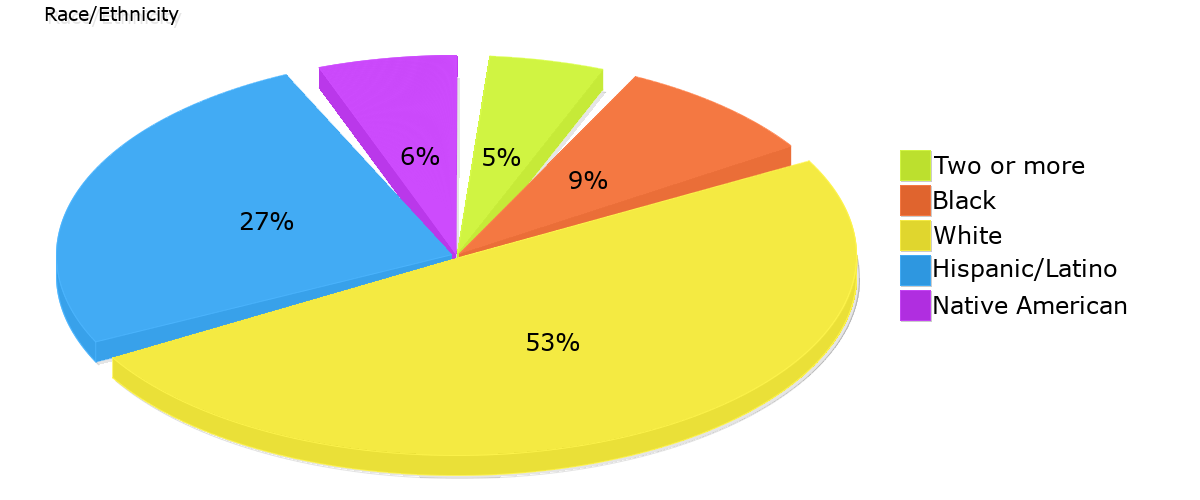 Demographics