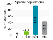 Special populations