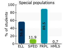 Special populations