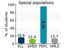 Special populations